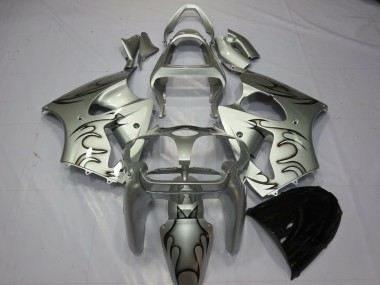 00-02 Argent Flamme ZX6R Carena