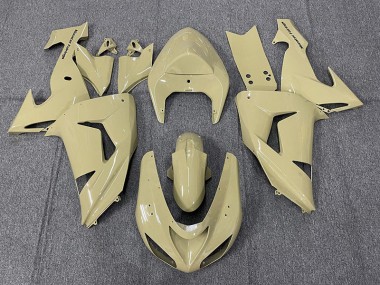 06-07 Abbronzatura Del Deserto ZX10R Carena